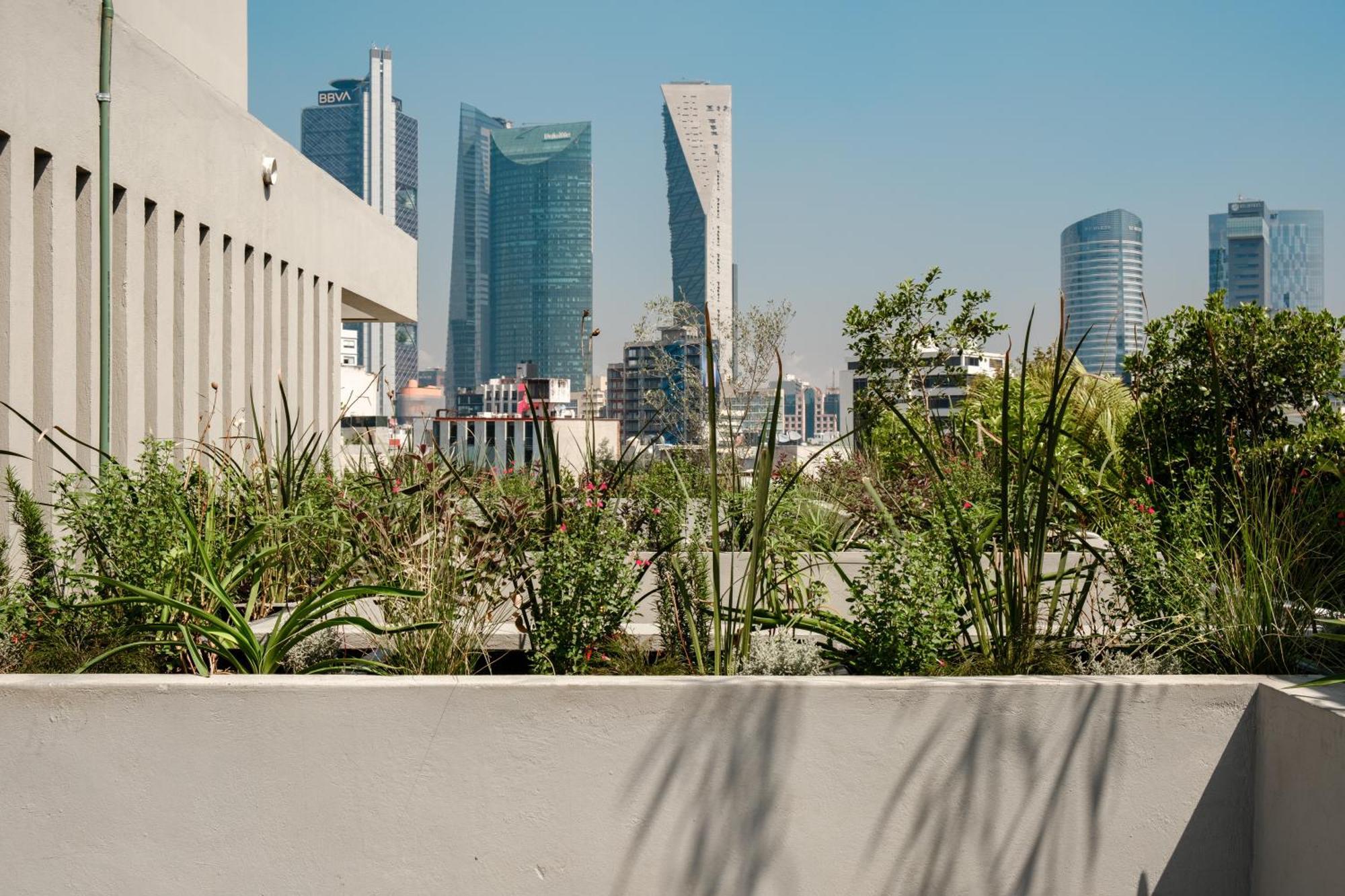 Casa Cibeles By Lumina Hotel Mexico City Exterior photo